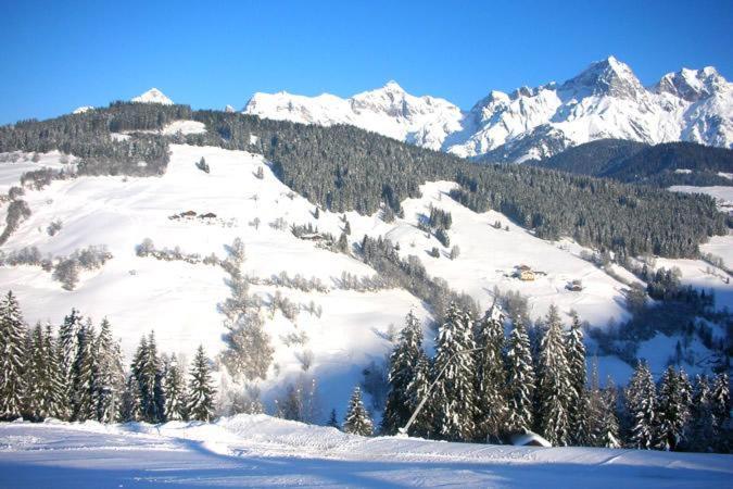 Ferienwohnung Klappacher Maria Alm am Steinernen Meer Esterno foto