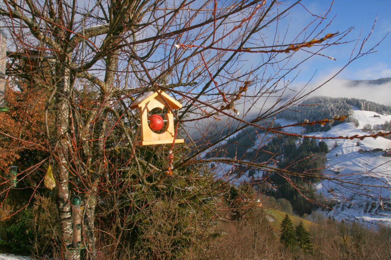 Ferienwohnung Klappacher Maria Alm am Steinernen Meer Esterno foto