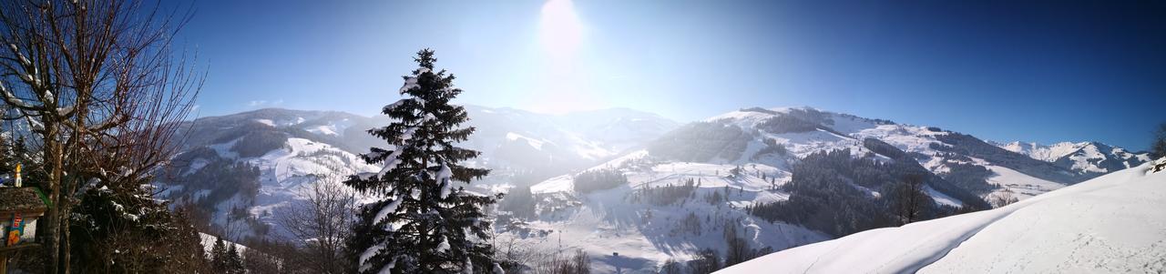 Ferienwohnung Klappacher Maria Alm am Steinernen Meer Esterno foto